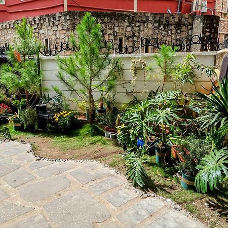 Wasabi House - Homestay Ben Cho Da Lat Kültér fotó