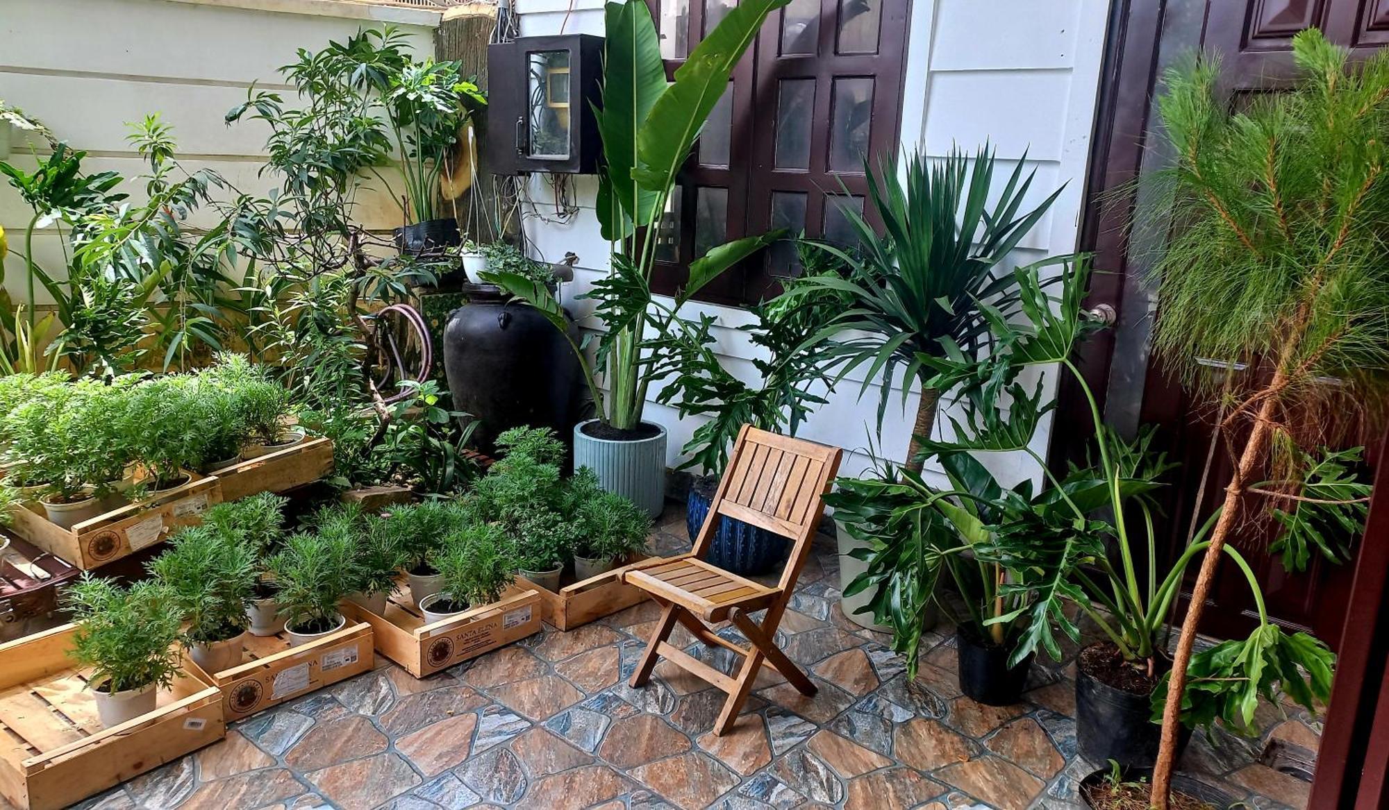 Wasabi House - Homestay Ben Cho Da Lat Kültér fotó