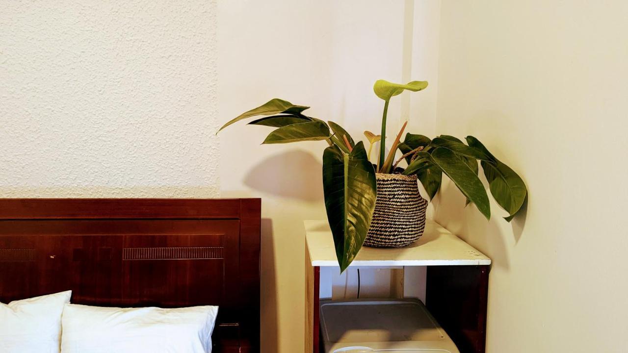 Wasabi House - Homestay Ben Cho Da Lat Kültér fotó